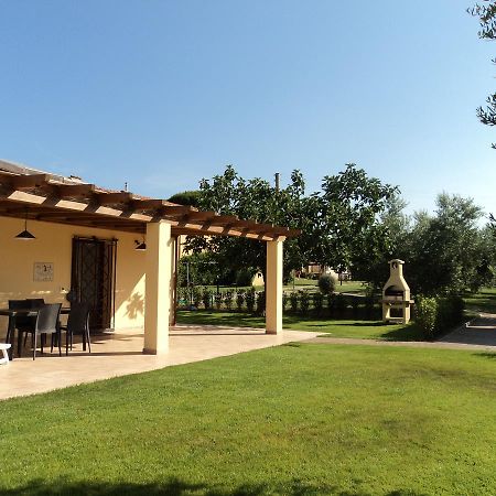 Agriturismo Dallolivo Bolgheri Kültér fotó