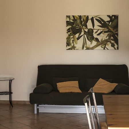 Agriturismo Dallolivo Bolgheri Kültér fotó