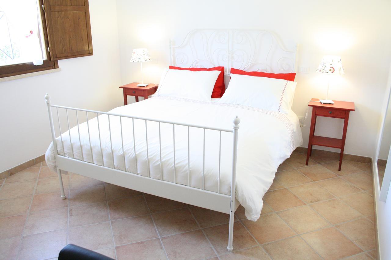 Agriturismo Dallolivo Bolgheri Kültér fotó