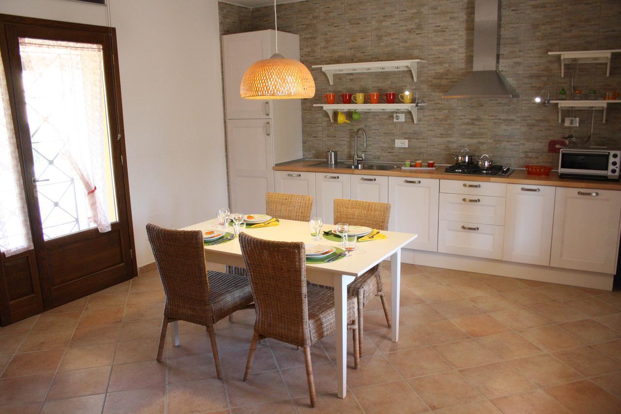 Agriturismo Dallolivo Bolgheri Kültér fotó