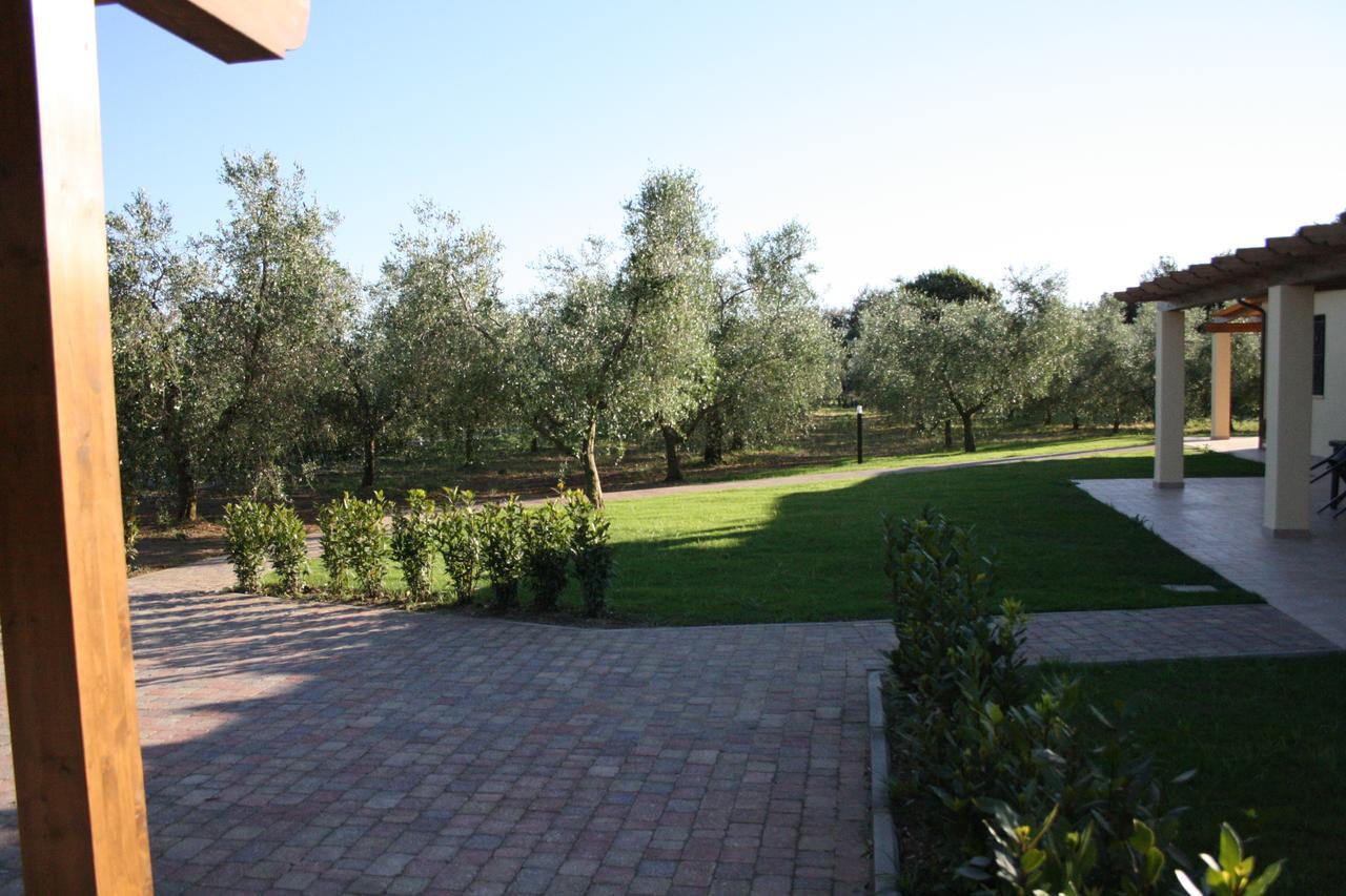 Agriturismo Dallolivo Bolgheri Kültér fotó
