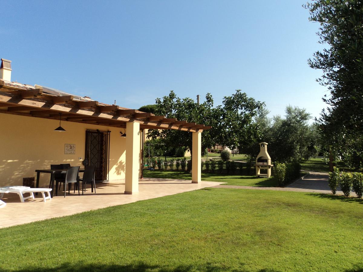 Agriturismo Dallolivo Bolgheri Kültér fotó