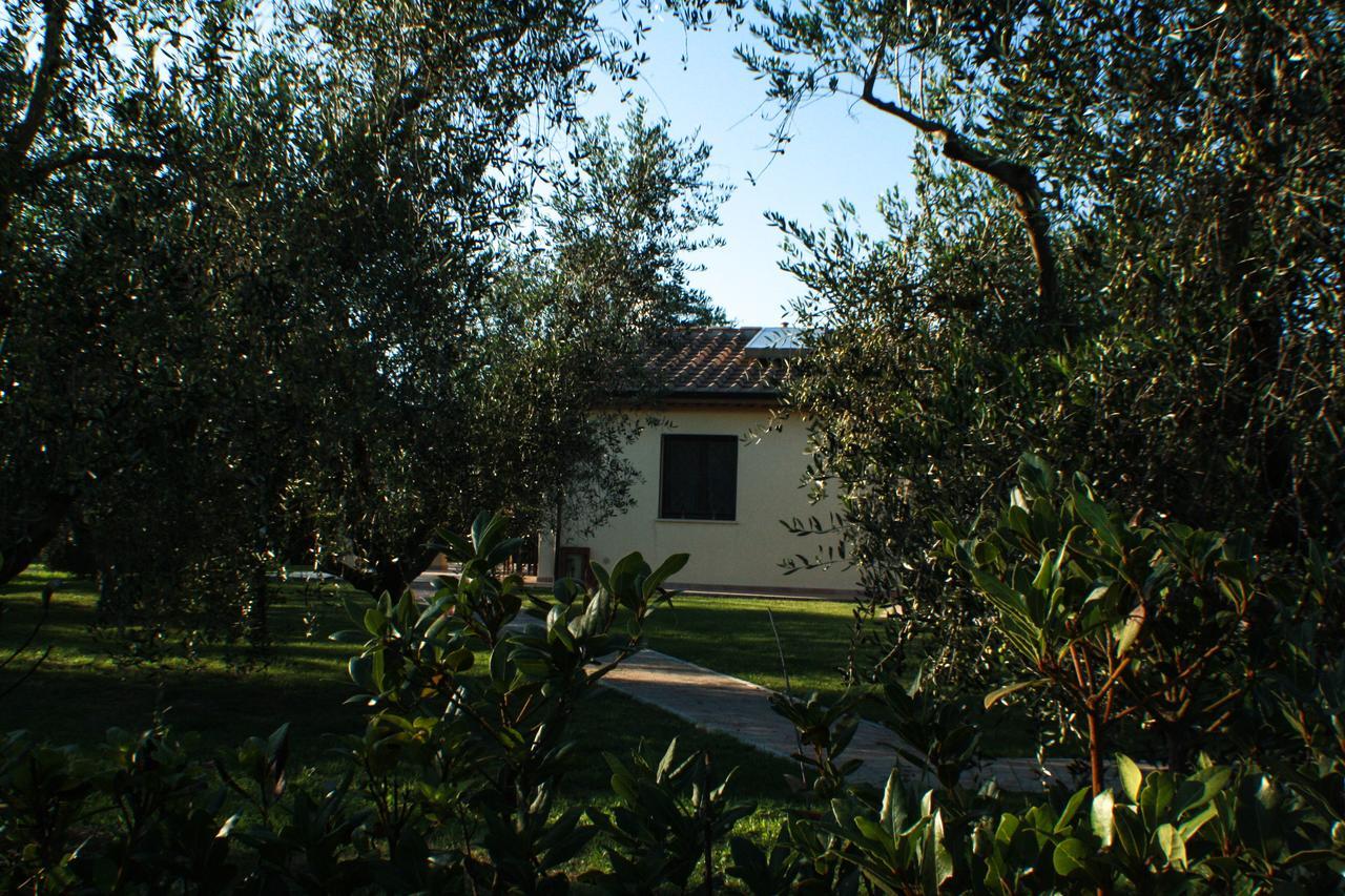 Agriturismo Dallolivo Bolgheri Kültér fotó