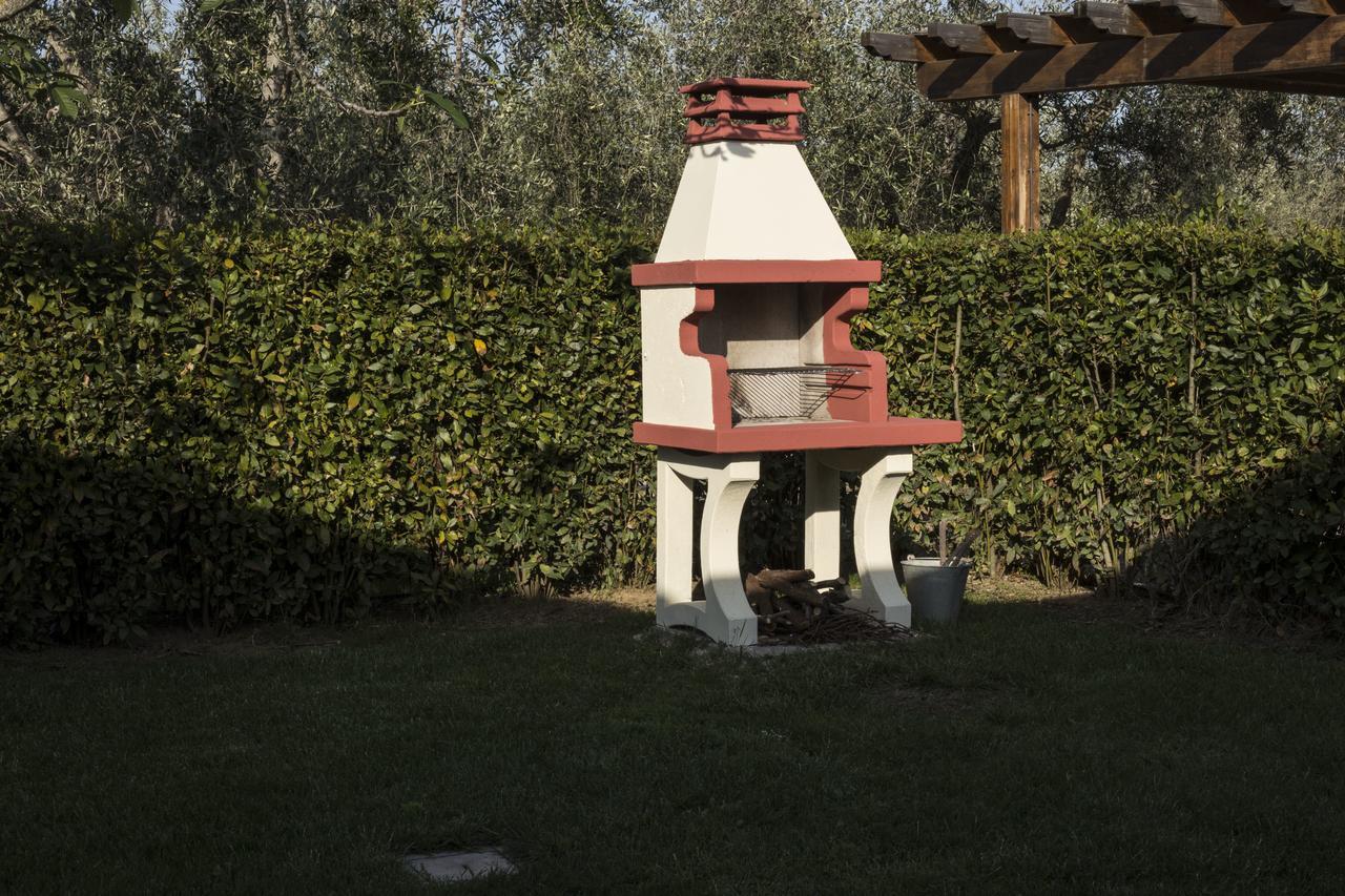 Agriturismo Dallolivo Bolgheri Kültér fotó