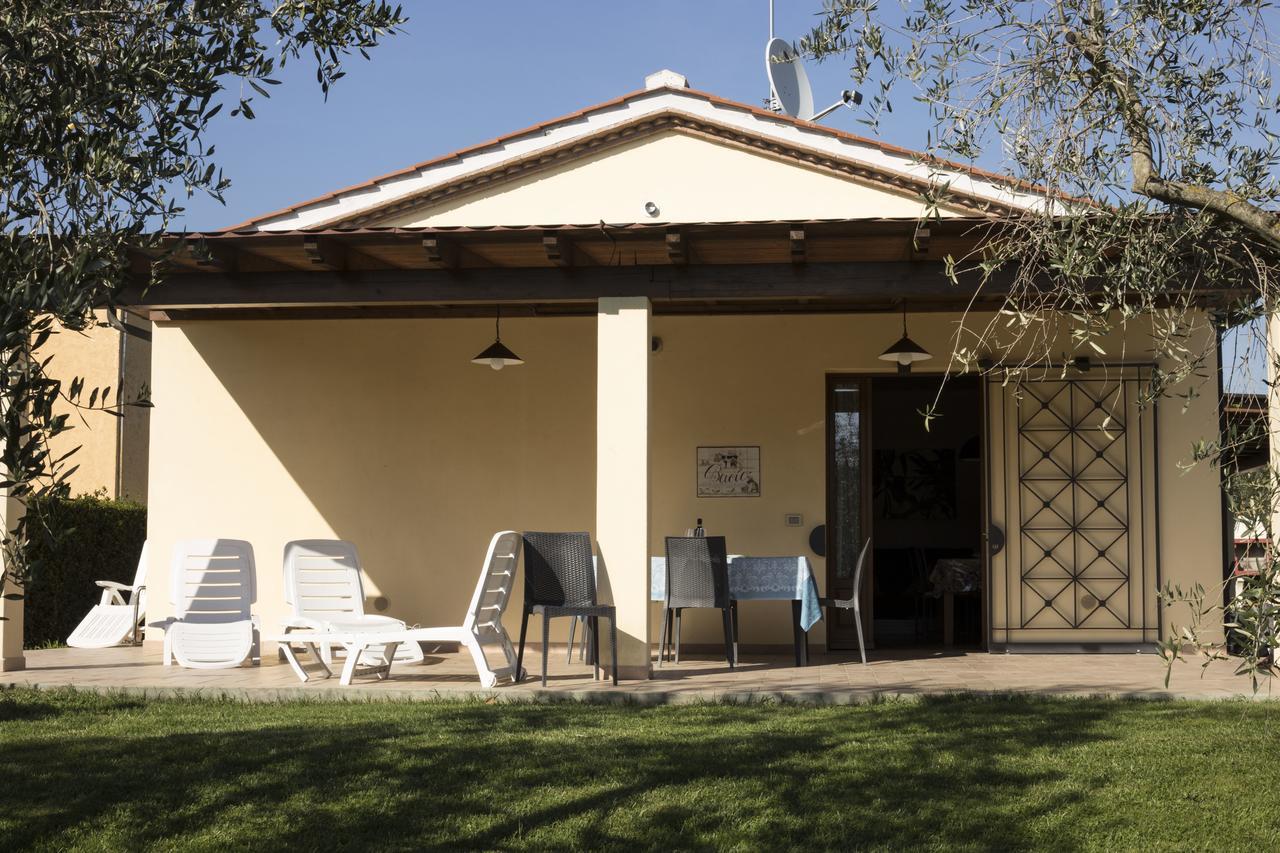 Agriturismo Dallolivo Bolgheri Kültér fotó