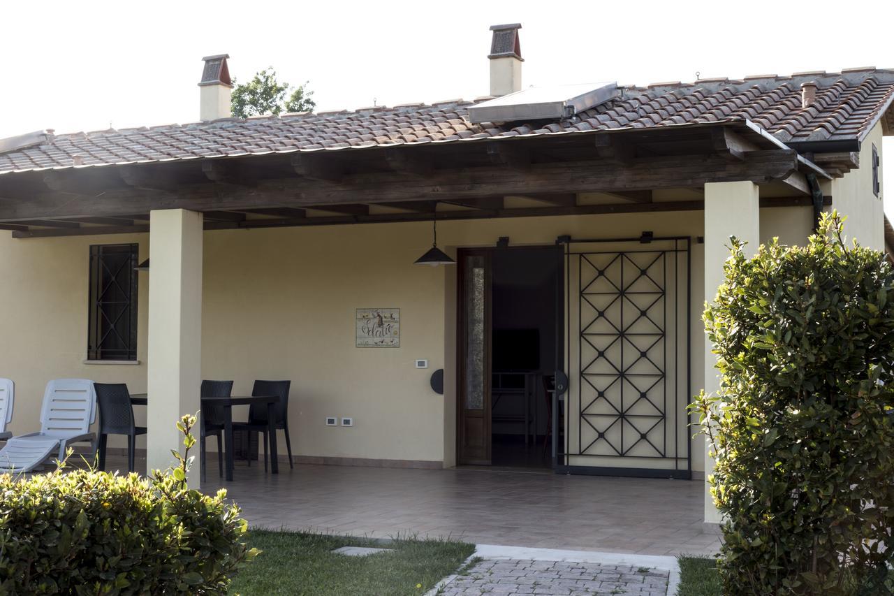 Agriturismo Dallolivo Bolgheri Kültér fotó